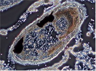 1538619941702598.png 成像3.png