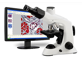 1538625586455559.png 成像图.png