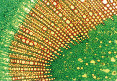 1538711727602708.png 成像图1.png