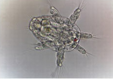 1538711736780004.png 成像图2.png