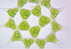 1538711886812169.png 成像图3.png