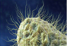 1538711909105481.png 成像图4.png