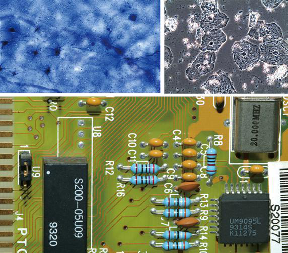 1542003550312575.png 成像图.png