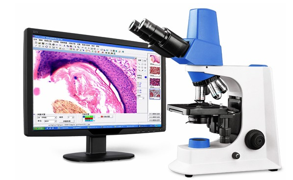 1542010669533000.png 成像图.png