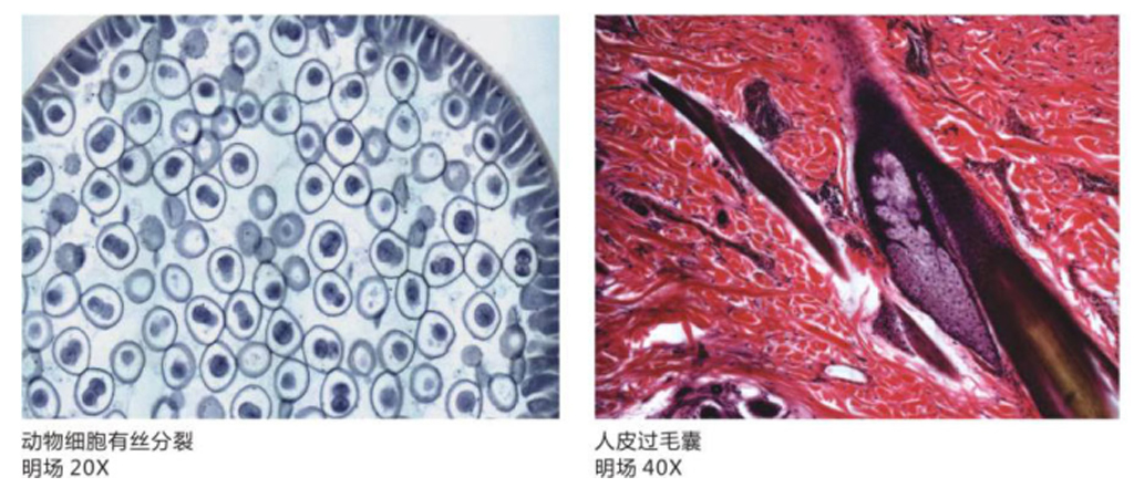 1542091531180130.png 成像图.png