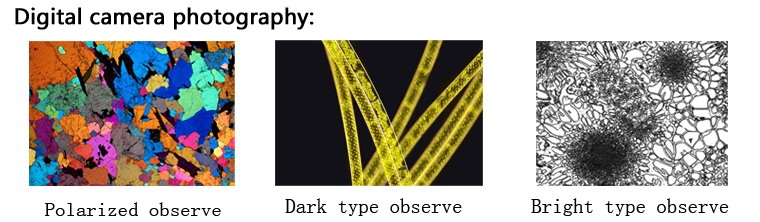 1542158800415933.png 成像图2.png